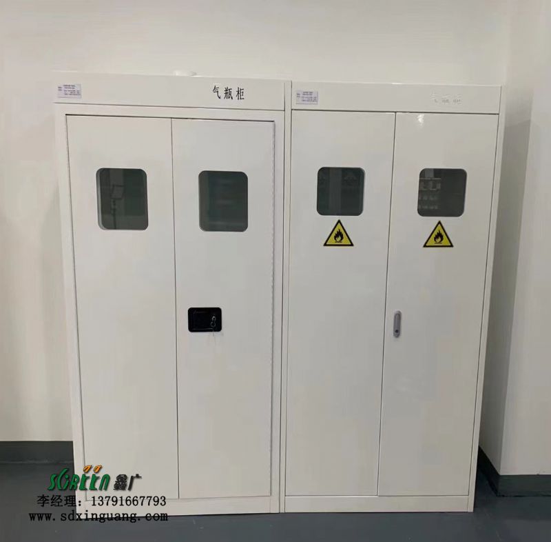 山東實驗室設備 實驗室氣瓶柜實驗臺通排風系統(tǒng)