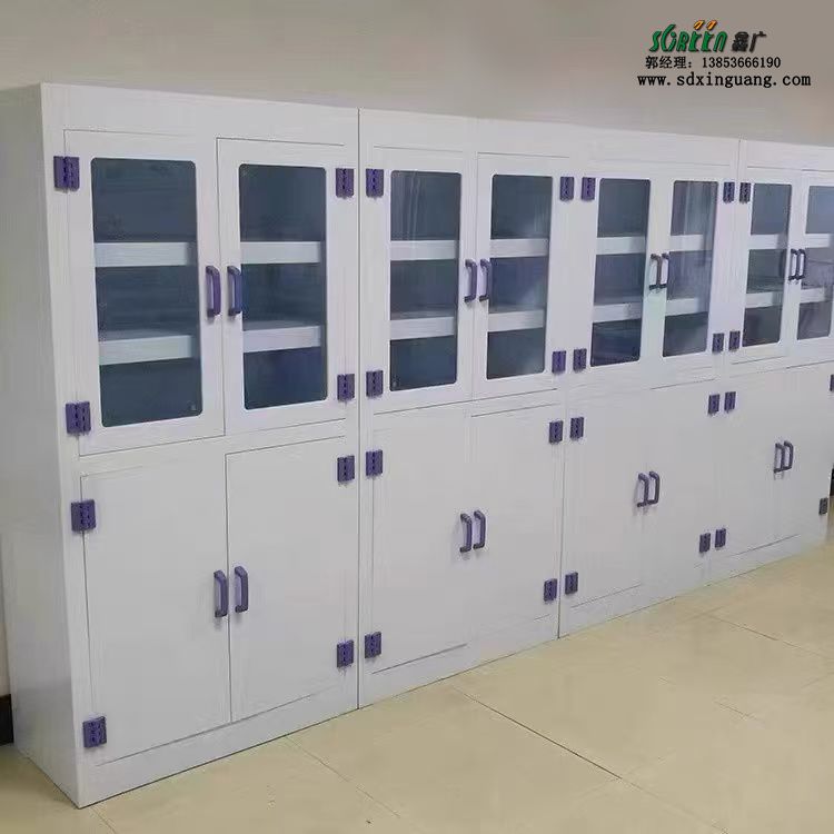 實(shí)驗(yàn)室器皿柜