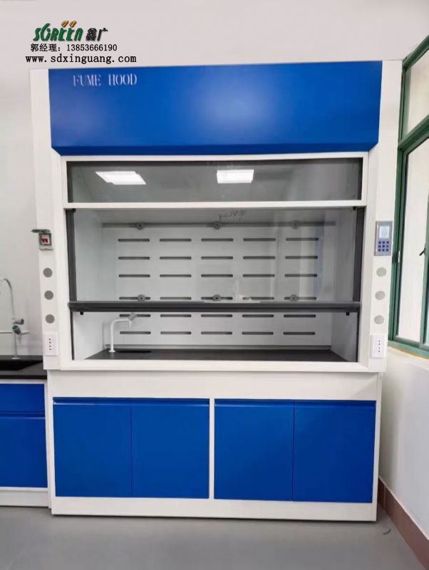 山東實(shí)驗(yàn)臺(tái)廠家全鋼通風(fēng)柜化學(xué)化驗(yàn)通風(fēng)櫥
